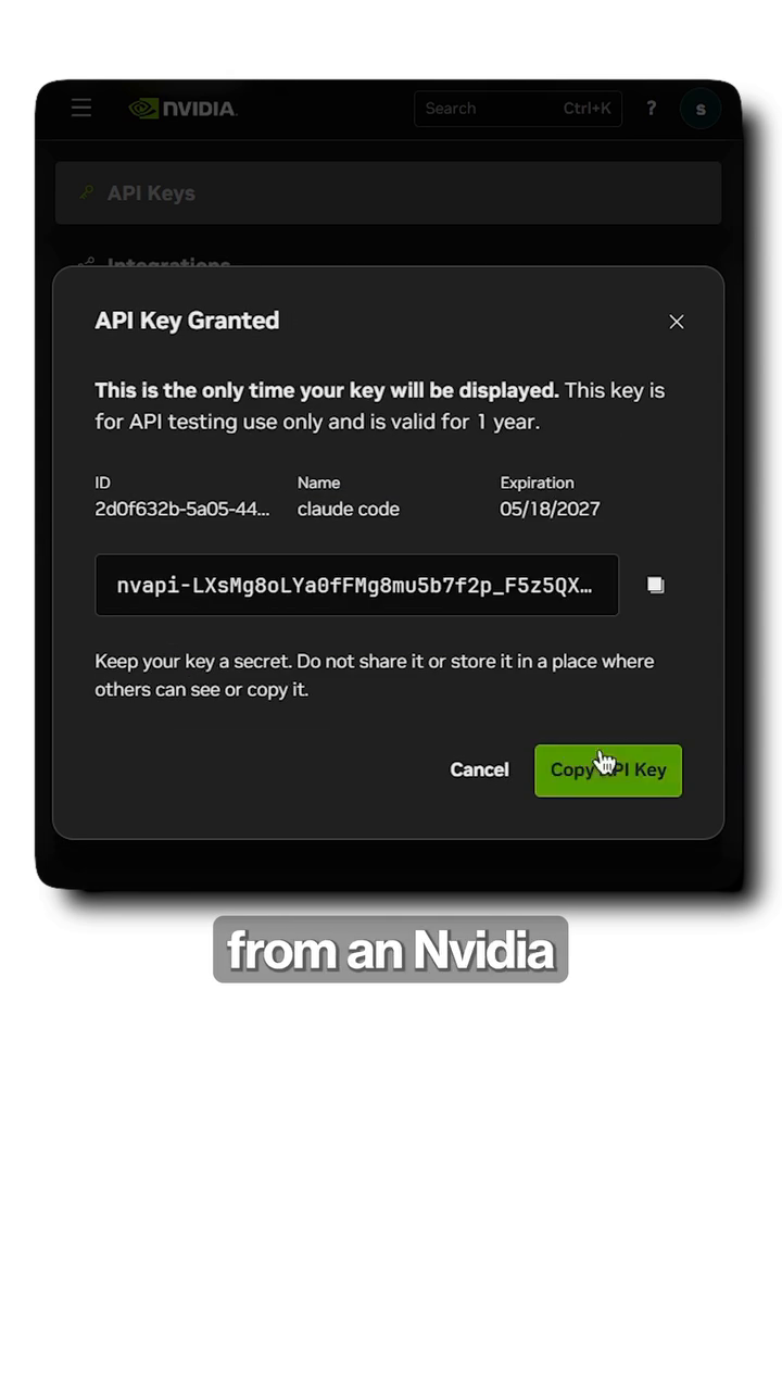 Modale "API Key Granted" sur NVIDIA NIM avec une clé nvapi-... à copier immédiatement