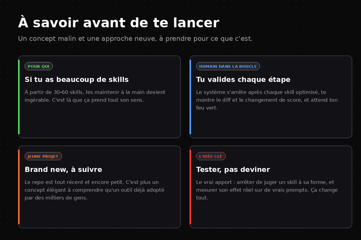 Quatre points : pour qui, humain dans la boucle, jeune projet, l'idée clé