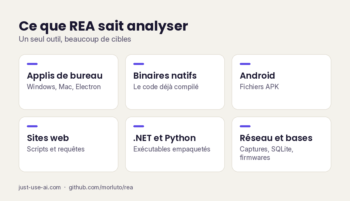 Schéma des 4 grandes familles de cibles analysables avec REA