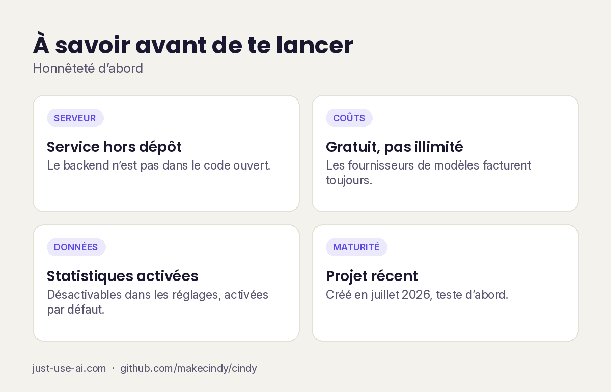 Les limites à connaître avant de se lancer