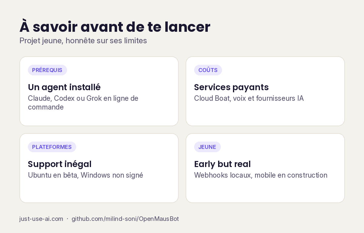 Quatre limites : projet jeune, prérequis techniques, services payants, plateformes inégales